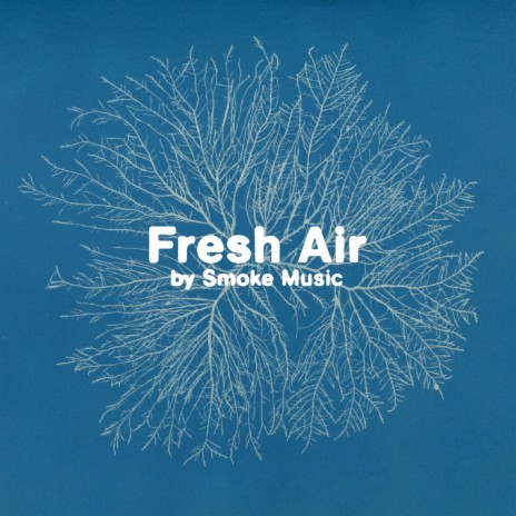 Fresh Air ft. Neri & Pardo | Boomplay Music