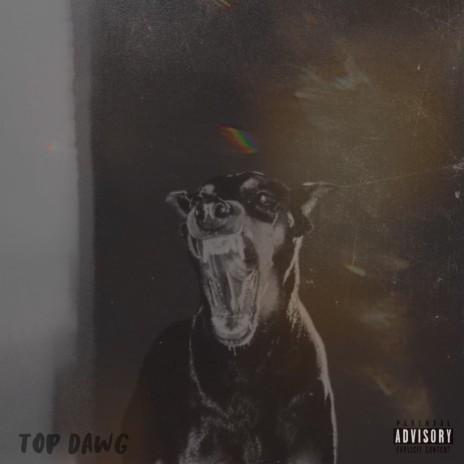 TOP DAWG | Boomplay Music