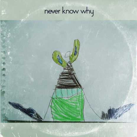 Never Know Why | Boomplay Music