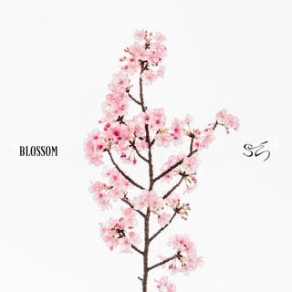 Blossom