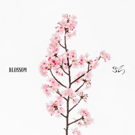 Blossom | Boomplay Music