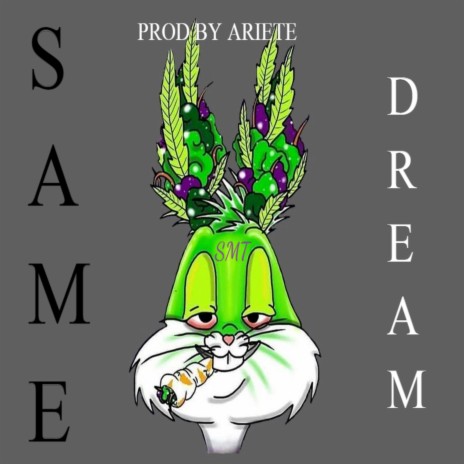 Same Dream | Boomplay Music