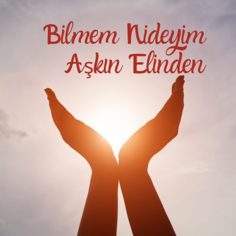 Bilmem Nideyim Aşkın Elinden | Boomplay Music