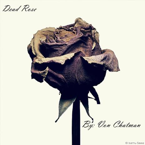 dead rose