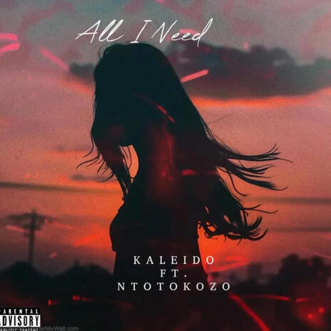 All I Need ft. Ntokozo | Boomplay Music