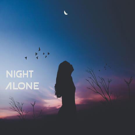 NIGHT ALONE | Boomplay Music