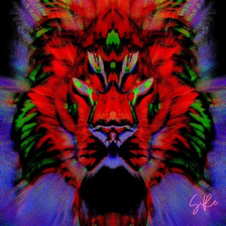 LIONS & CHEETAHS (Radio Edit)