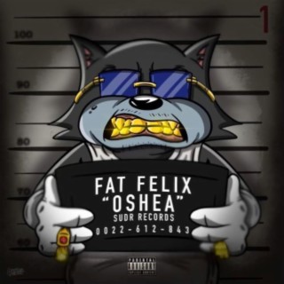 Fat Felix