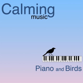 Calm Music Piano and Birds