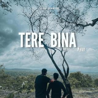 TERE BINA KYUN