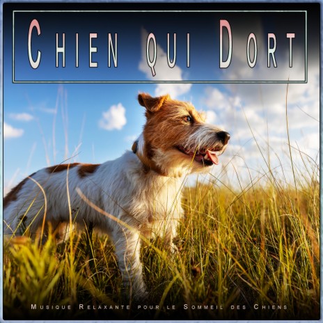 Chien qui Dort ft. Musique pour L'anxiété des Chiens & Musique Relaxante pour Chiens | Boomplay Music