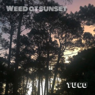 Weed at Sunset