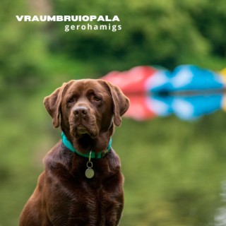 vraumbruiopala