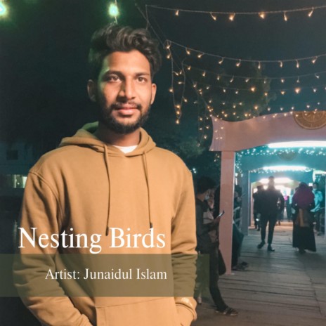 Nesting Birds | Boomplay Music