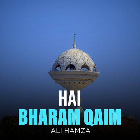 Hai Bharam Qaim | Boomplay Music