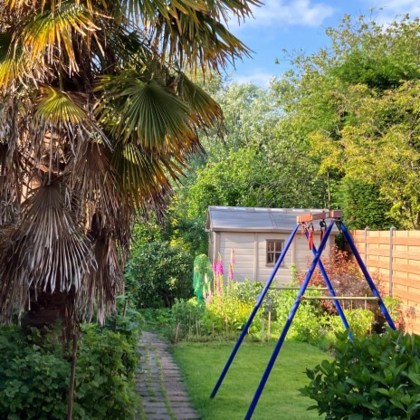 Backyard Birds ft. Sounds of Mother Earth | Boomplay Music