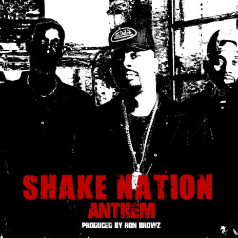 Shake Nation Anthem | Boomplay Music