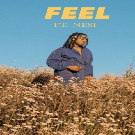 FEEL (feat. Nesi) | Boomplay Music