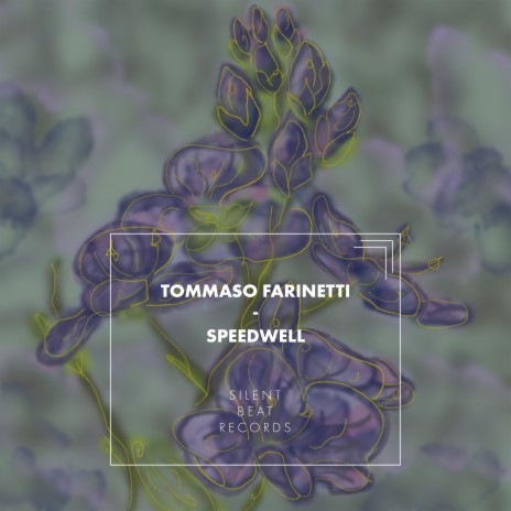 speedwell | Boomplay Music