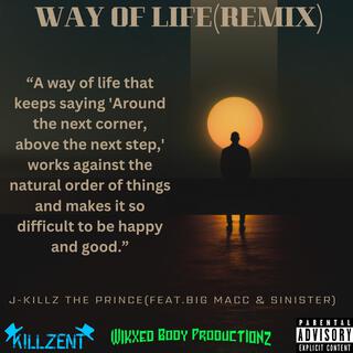 Way Of Life (Remix)