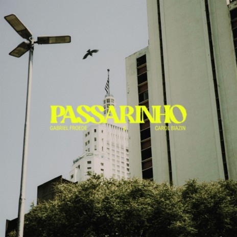 Passarinho ft. Carol Biazin | Boomplay Music