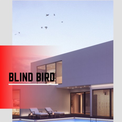 Blind Bird | Boomplay Music