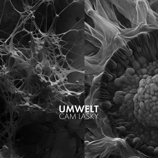 UMWELT Vol.3