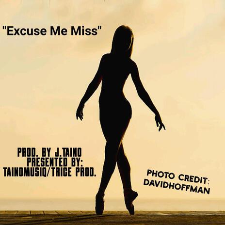 Excuse Me Miss | Boomplay Music