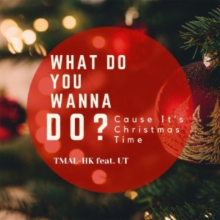 What Do You Wanna Do ['Cause its Christmas Time]