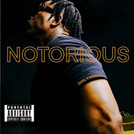 Notorious | Boomplay Music