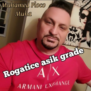 Rogatice asik grade