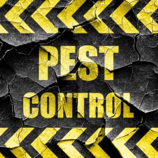 Pest Control lyrics | Boomplay Music