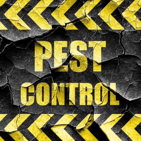 Pest Control | Boomplay Music