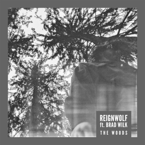 The Woods ft. Brad Wilk