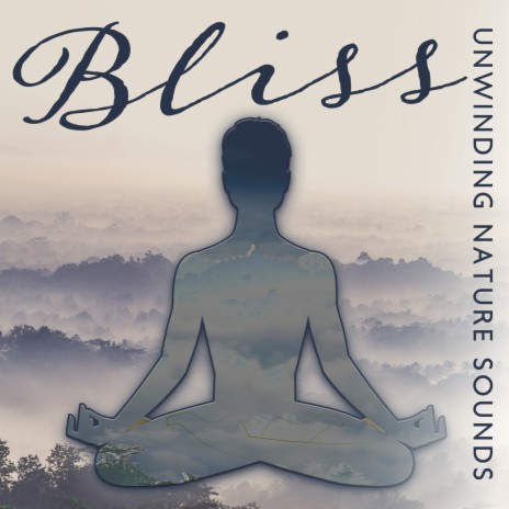 Mindfulness Meditation ft. Green Noise Dimension