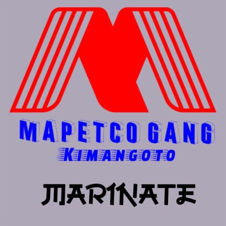 Mapetco Gang | Boomplay Music