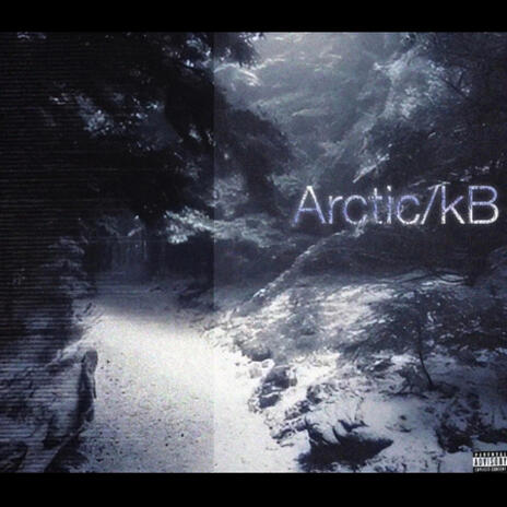 Arctic | Boomplay Music