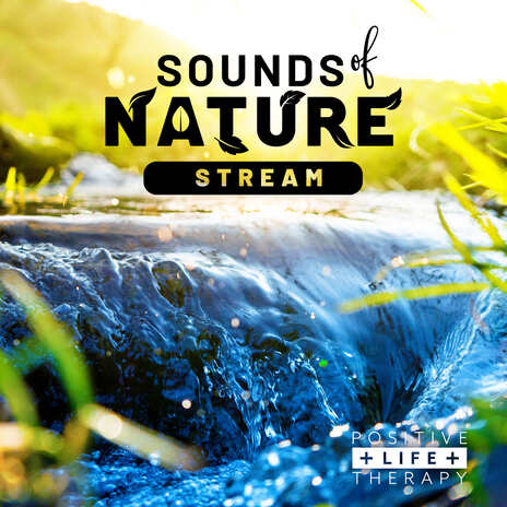 Sounds Of Nature Storm | Boomplay Music