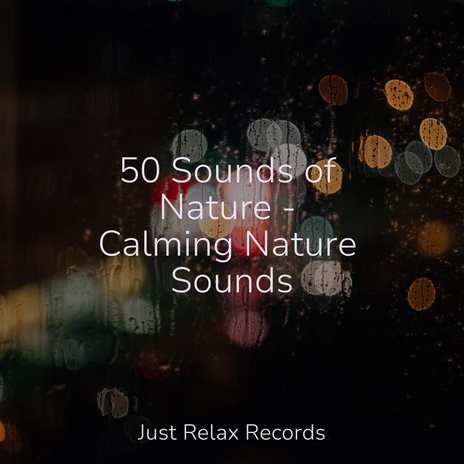 Enchanting Hum of Harmony ft. Soothing Sounds & Ambient | Boomplay Music