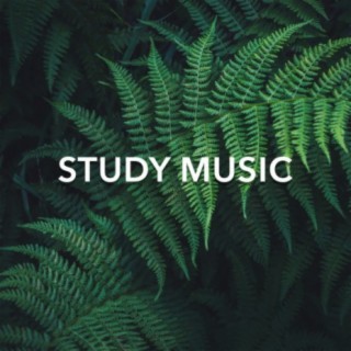 Study Music