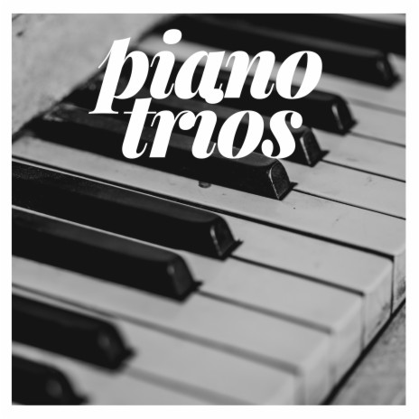 Piano Trio No.1, in B-Flat Major, Op. 99 D. 898: IV. Rondo - Allegro vivace presto