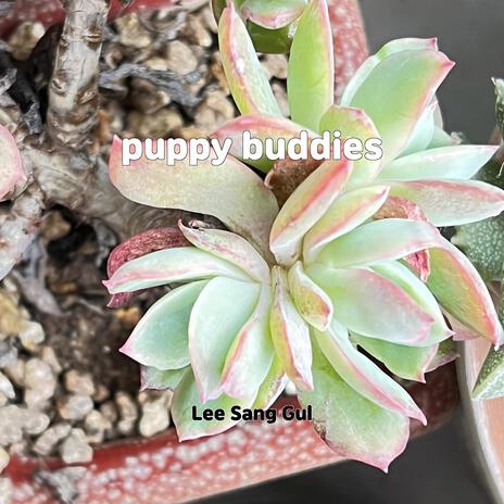 puppy buddies | Boomplay Music