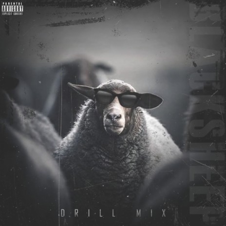 BAWA BLACKSHEEP (Drill Mix) ft. ECSTASY | Boomplay Music