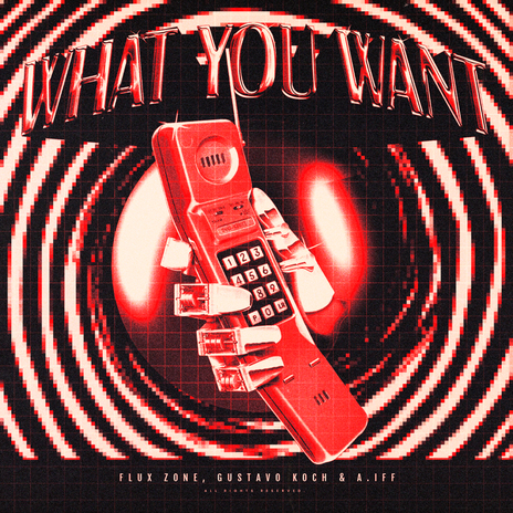 What You Want ft. Gustavo Koch & A.IFF | Boomplay Music