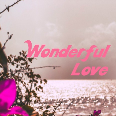 Wonderful Love | Boomplay Music