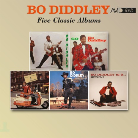 Bo Diddley (Bo Diddley) | Boomplay Music