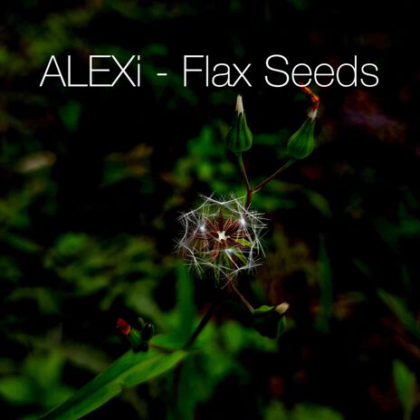 Flax Seeds | Boomplay Music