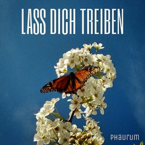 Lass dich Treiben | Boomplay Music