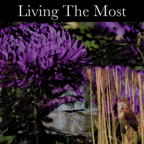 Living The Most | Boomplay Music