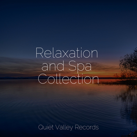 Focused, Relaxed ft. Sleep Sound of Nature & Regen | Boomplay Music